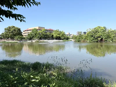帝塚山の万代池