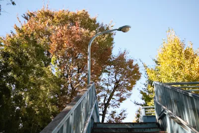紅葉と歩道橋