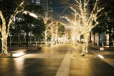 イルミネーション